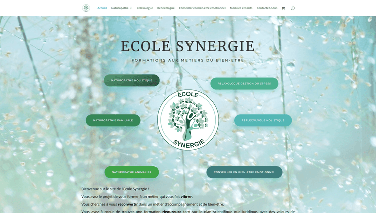 École synergie